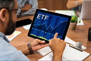 edelweissmf image