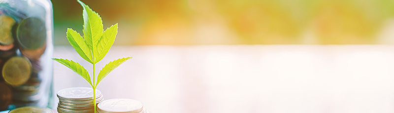 How To Build A Retirement Corpus