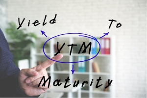 Yield to Maturity Meaning