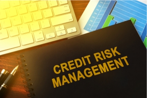 What is Credit Risk?
