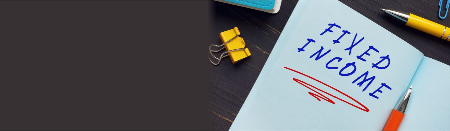 Different Types of Fixed Income Instruments