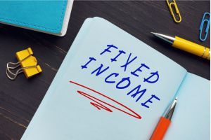 Different Types of Fixed Income Instruments