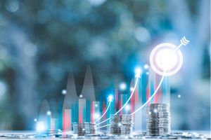 What are target maturity funds