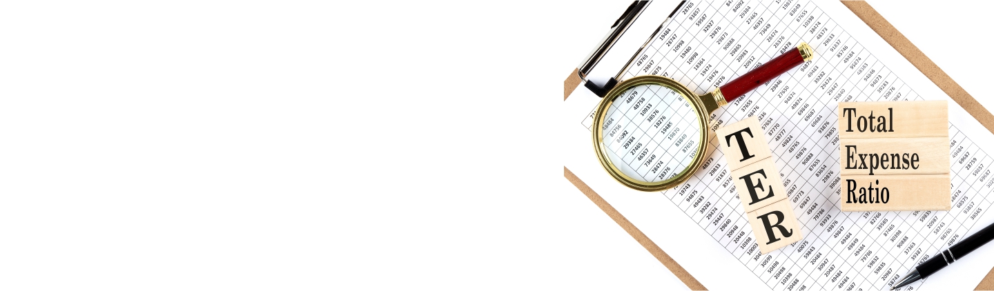 Total Expense Ratio of a Mutual Fund