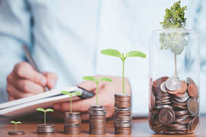 How to Choose Mutual Funds for SIP