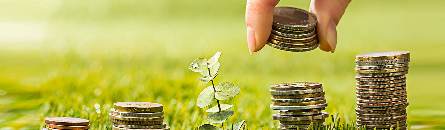 Equity Mutual Funds to Fuel Your Investment Portfolio