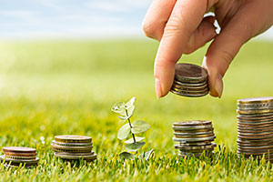 Equity Mutual Funds to Fuel Your Investment Portfolio