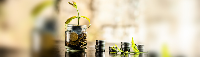 Tax Saver Mutual Fund