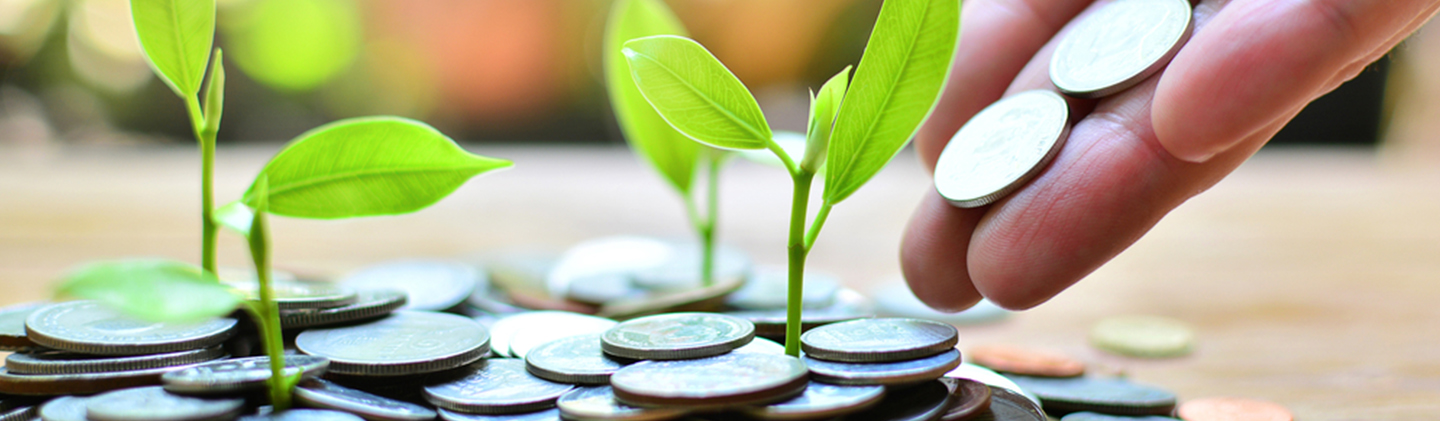 10 Questions to ask before investing