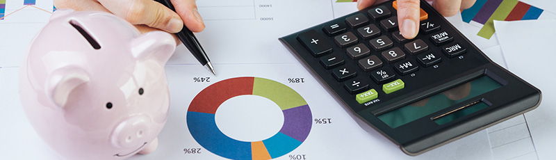 Calculator for Calculating Asset Allocation and Piggy Bank