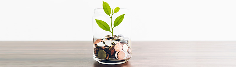 Income Tax Saving Options